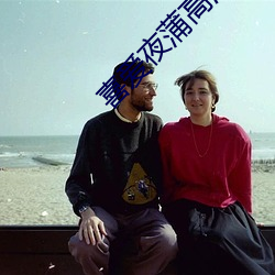 喜爱夜蒲高清