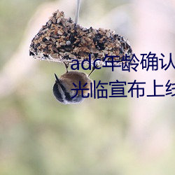 adc年齡確認十八歲歡迎您的大駕光臨宣布上線