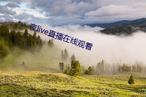 夜live直播在线观看