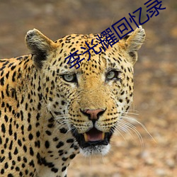 李光耀回憶錄
