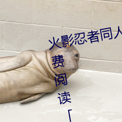 火影忍者(者)同人(人)漫画(畫)纲手(手)漫画漫画免费阅读「下(下)拉观看(看)」