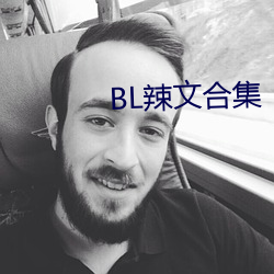 BL辣文合集