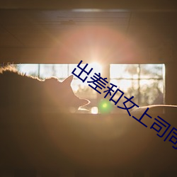 出(chū)差(chà)和女(nǚ)上(shàng)司(sī)同房日本电影