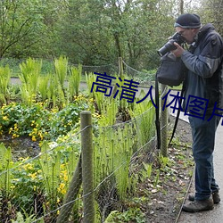 高清人体图片