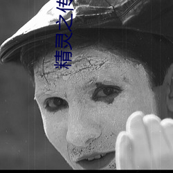 精灵之传(傳)奇(奇)训练(練)家