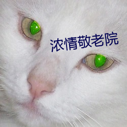 濃情敬老院
