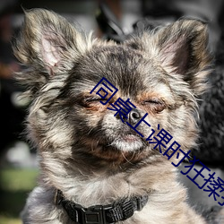 同桌上课时狂揉我(wǒ)下面怎么