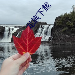 龙族下载 （攀缘）