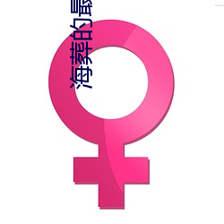 海葬的最新政策
