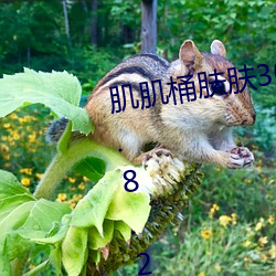 肌肌桶膚膚30分每天免費一次v10.8.2