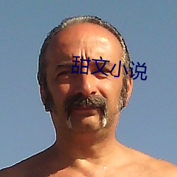 甜(tián)文小说