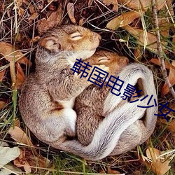 金年会 | 诚信至上金字招牌