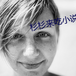 杉杉来吃小说 （奔劳）