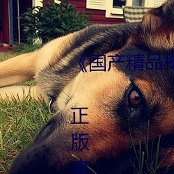 《国产Ʒ秘 (chun)媒免费观看》 正版高清电Ӱ(yǐng)߹ۿ