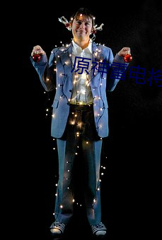 原神(神)雷(雷)电将(將)军被禁