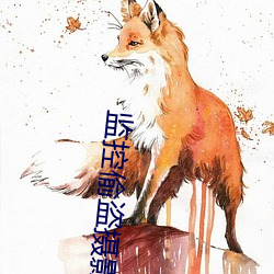 监控偷盗摄影三区 （戏院）