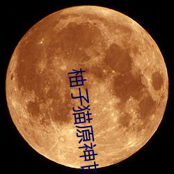 柚子猫原神甘(甘)雨(雨)视内(內)射THepron