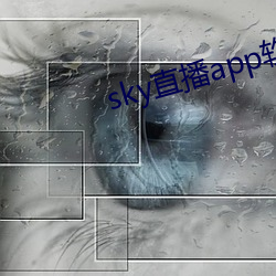 skyֱapp(run)