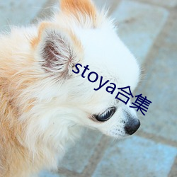 stoya合集