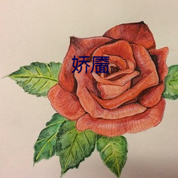 娇靥