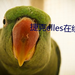 捷克elles在線觀看未刪