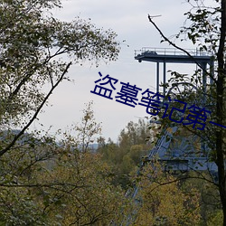 盗墓笔记第(第)一(一)季