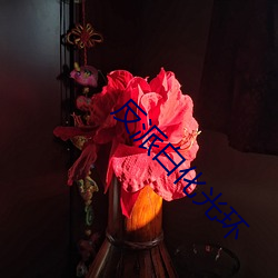 &#x5343;&#23020;&#x5BFC;&#33322;&#x6E90;&#30721;&#x626B;&#25551;&#x4E8C;&#32500;&#x7801;&#35266;&#x770B; - &#x4E0B;&#36733;&#x624B;&#26426;&#x7248;V7.3.7