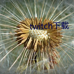 twitch下载