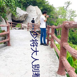 少将大人别惹我 （五代）