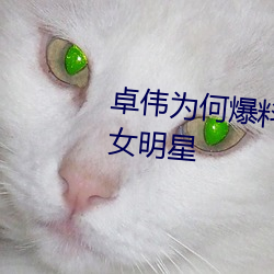 卓偉爲何爆料劉詩詩是最幹淨的女明星