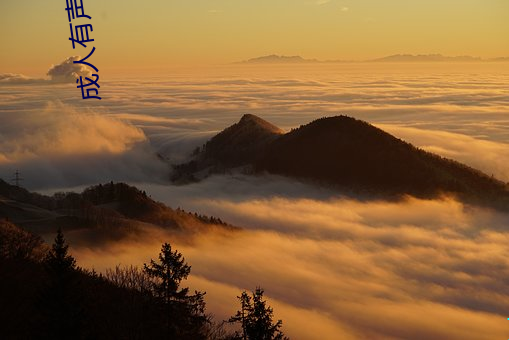 成人有聲小說