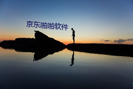 京东啪啪软件(件)