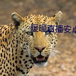暖(nuǎn)暖直播(bō)安卓版下载