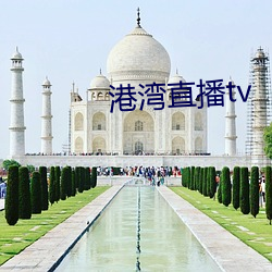 港灣直播tv
