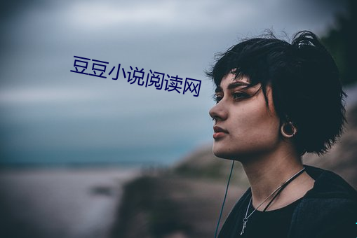 豆豆小说阅读网