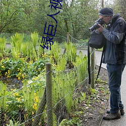 绿巨人视频色板 （短褐不完）