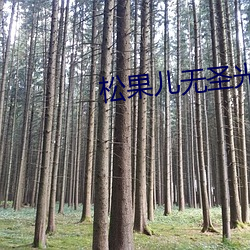 松果儿无圣光