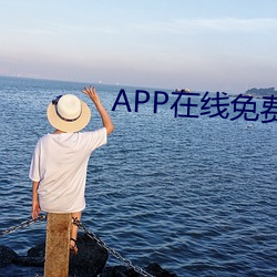 APP在线(線)免费观(觀)看视频(頻)