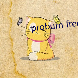 proburn free