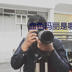 血色玛丽是(shì)哪(nǎ)家(jiā)的jk
