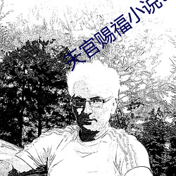 天官賜福小說txt下載