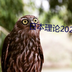 日本理(lǐ)论(lùn)2021