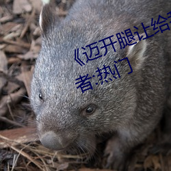 《邁開腿讓給我嘗嘗你的味道》作者:熱門