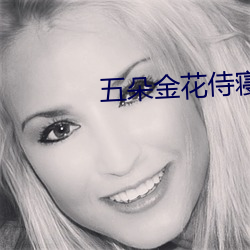 五朵金花侍寝