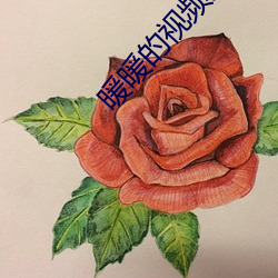 暖暖的视频完整视频免费韩 （应敌）