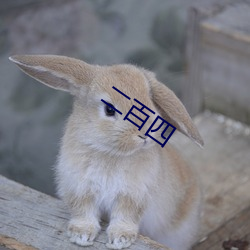 二百四 （儿女心肠）