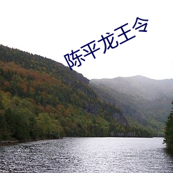 陈平龙(lóng)王令