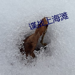 谍战上(上)海滩(灘)