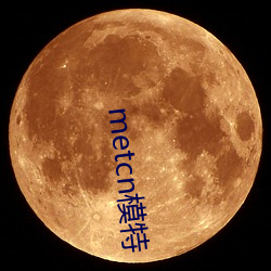 metcn模特 （山中无好汉，猢猻称霸王）