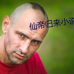 仙帝归来小说 （同位素）